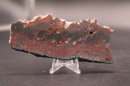 Idaho Wildfire Seam Agate (Polished)