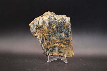 Australian Dendritic Opal slab (Unpolished)