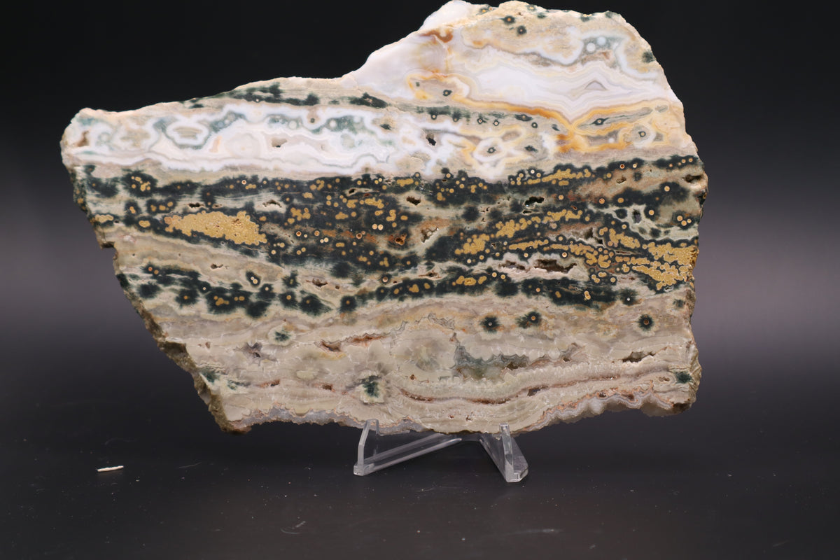 Ocean Jasper Slab (Unpolished)