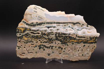 Ocean Jasper Slab (Unpolished)