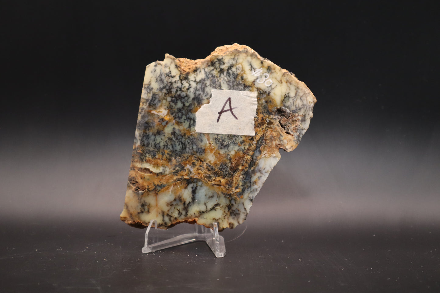 Australian Dendritic Opal slab (Unpolished)