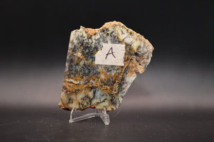 Australian Dendritic Opal slab (Unpolished)