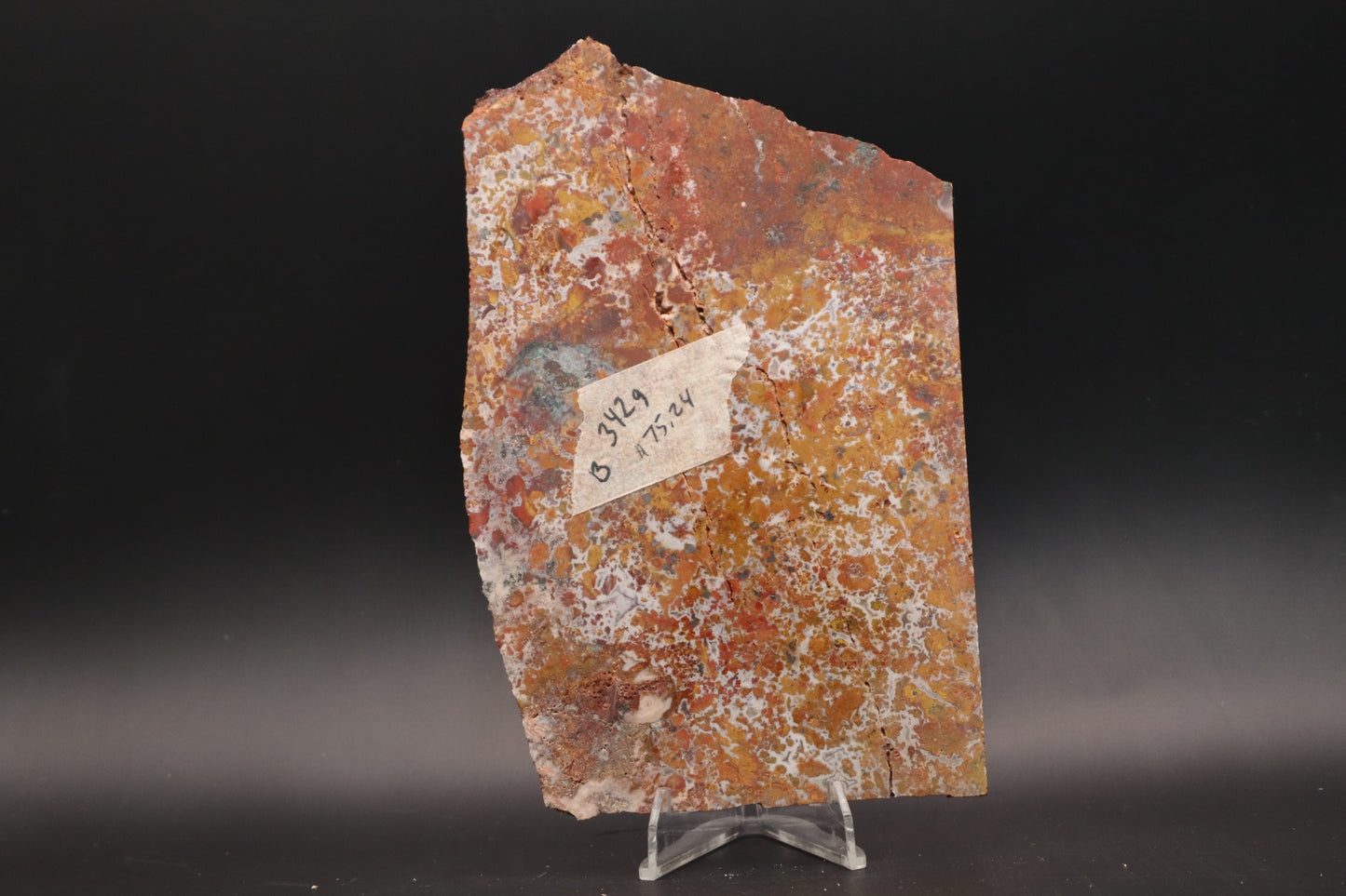 Moroccan Atlas Mountain Jasper slab (Unpolished)