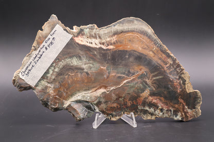 Chromium Woodworthia slab (Collector's Grade) (Unpolished)