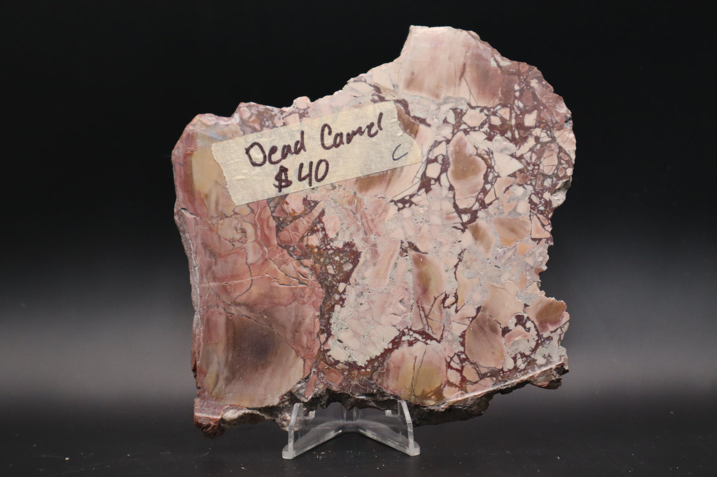 Dead Camel slab (Unpolished)