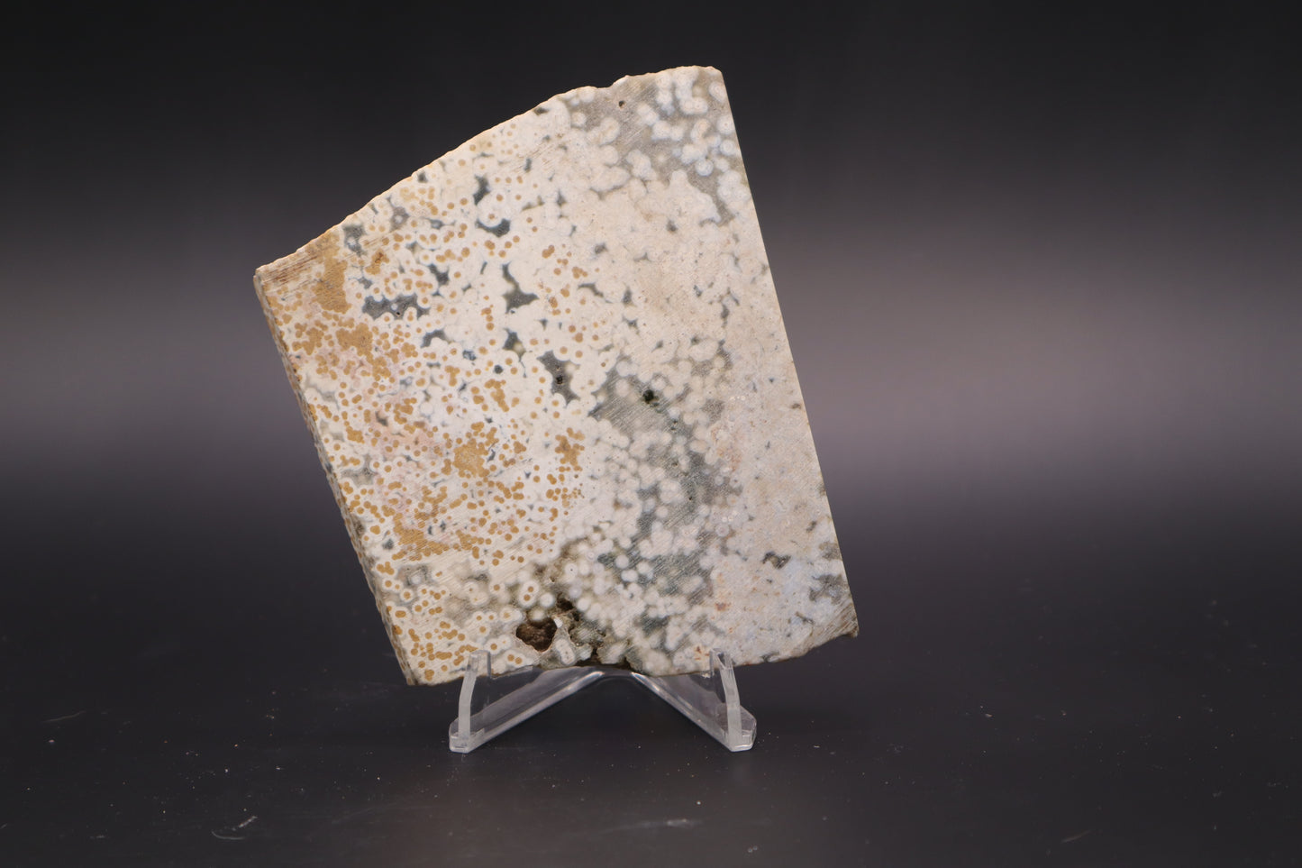 Ocean Jasper Slab (Unpolished)