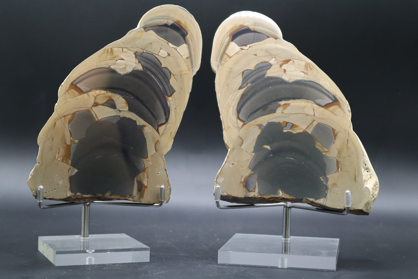 Fryite Jasper set (Collector's Grade)