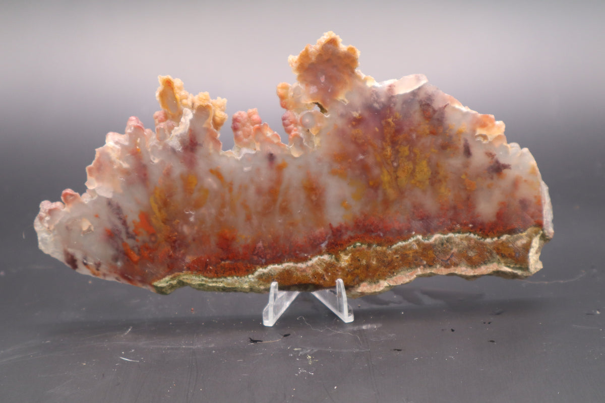 Bird of Paradise Agate