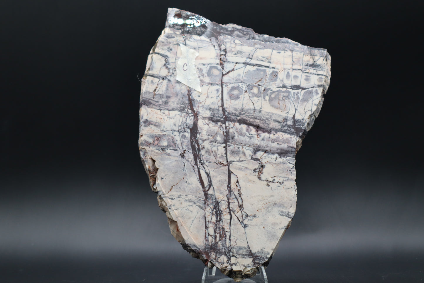 Exotica Sci-Fi Jasper slab (Unpolished)