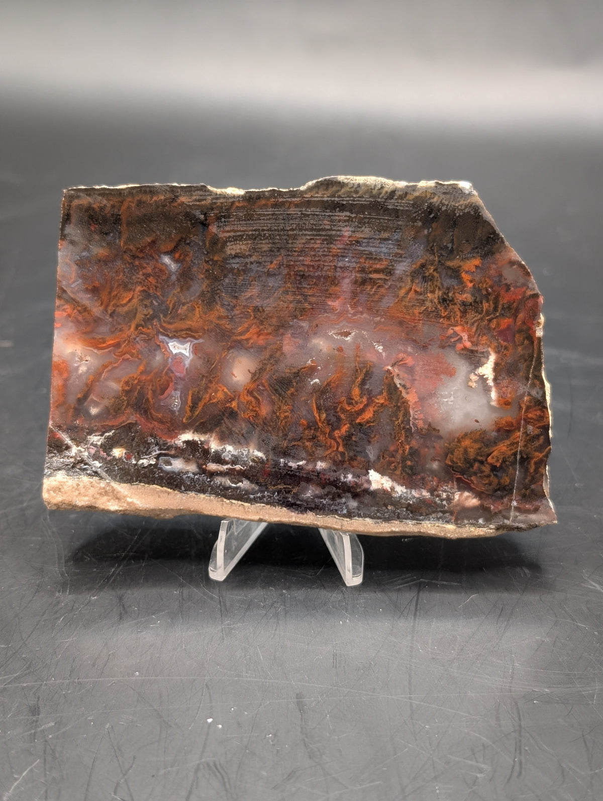 Mexican Flame Agate (Unpolished)