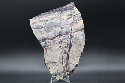 Exotica Sci-Fi Jasper slab (Unpolished)