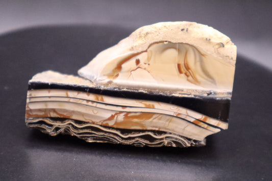 Fryite Jasper specimen (Collector's Grade-Polished)