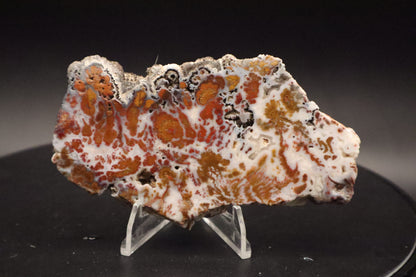 Wingate Pass Plume Agate slab (Unpolished)