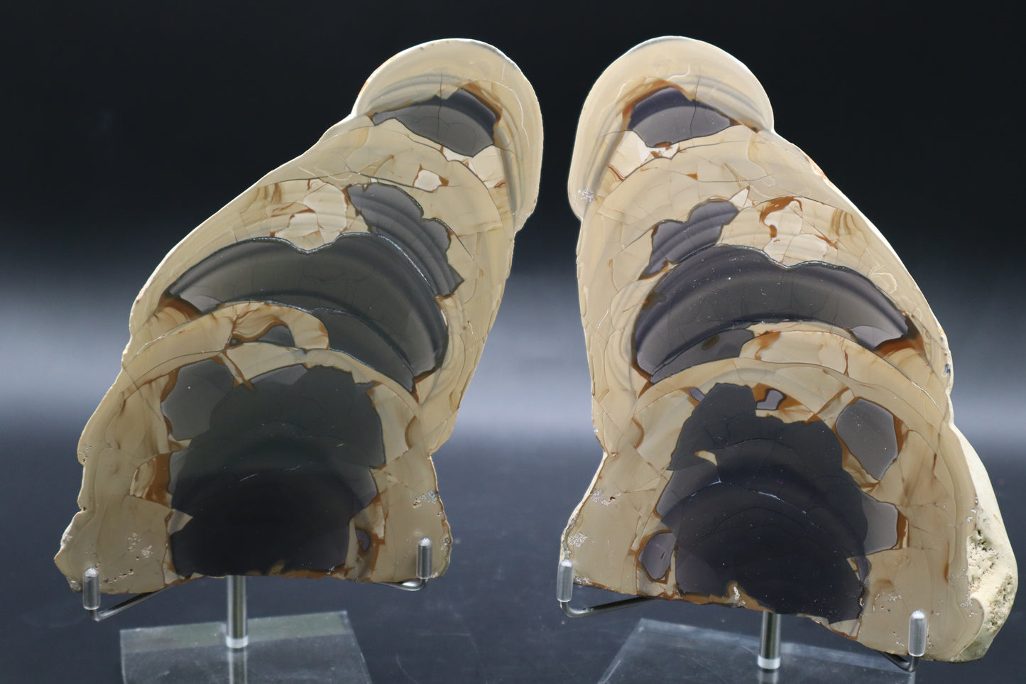 Fryite Jasper set (Collector's Grade)