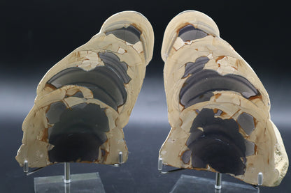 Fryite Jasper set (Collector's Grade)