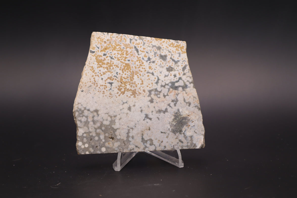 Ocean Jasper Slab (Unpolished)