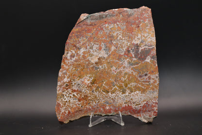 Moroccan Atlas Mountain Jasper slab (Unpolished)