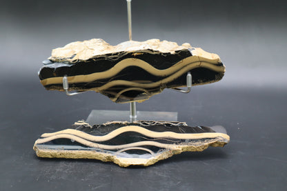 Fryite Jasper set (Collector's Grade-Polished)