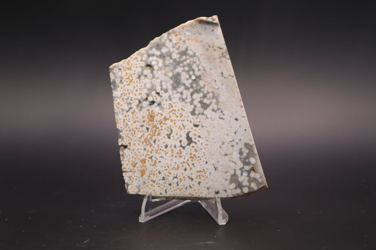 Ocean Jasper Slab (Unpolished)