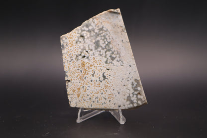 Ocean Jasper Slab (Unpolished)