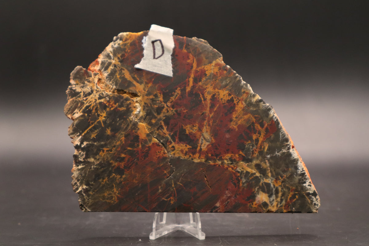 Pilbara Jasper slab (Unpolished)