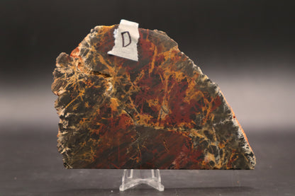 Pilbara Jasper slab (Unpolished)