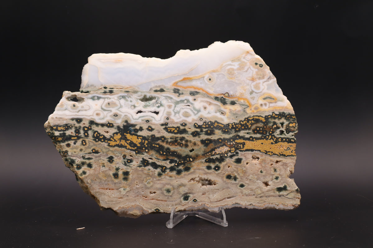Ocean Jasper Slab (Unpolished)