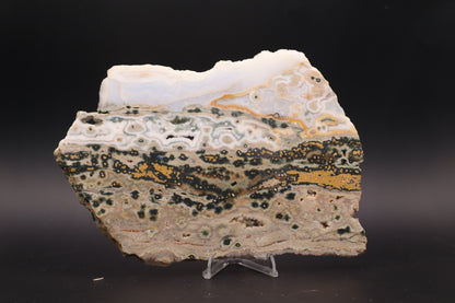 Ocean Jasper Slab (Unpolished)