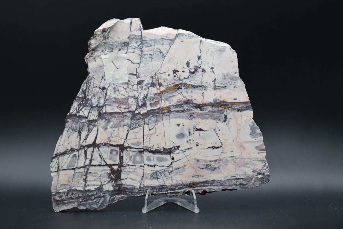 Exotica Sci-Fi Jasper slab (Unpolished)