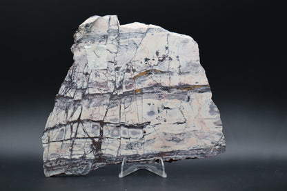 Exotica Sci-Fi Jasper slab (Unpolished)