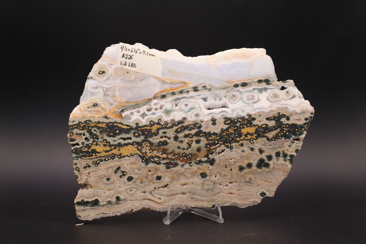 Ocean Jasper Slab (Unpolished)