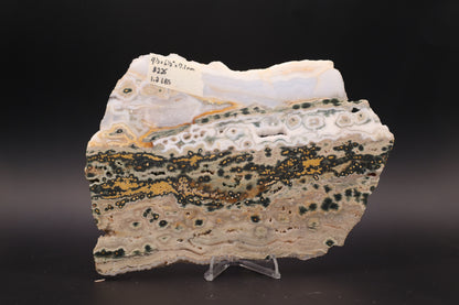 Ocean Jasper Slab (Unpolished)