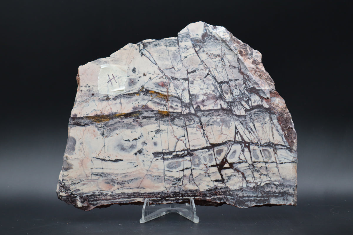 Exotica Sci-Fi Jasper slab (Unpolished)