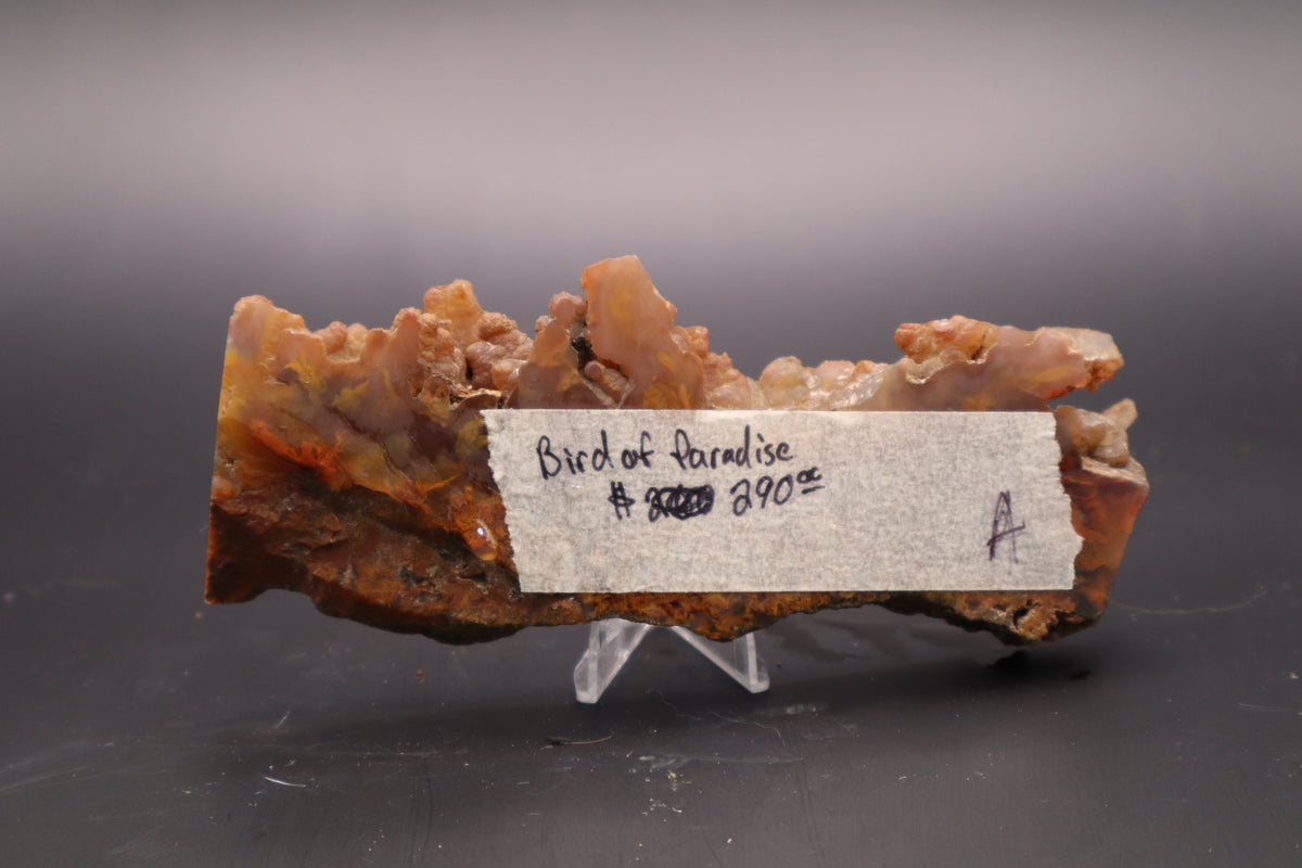 Bird of Paradise Agate