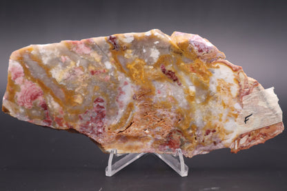 Windy Mountain Snowflake Jasper slab (Unpolished)