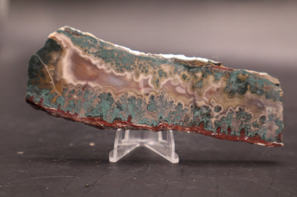 Idaho Wildfire Seam Agate (Polished)