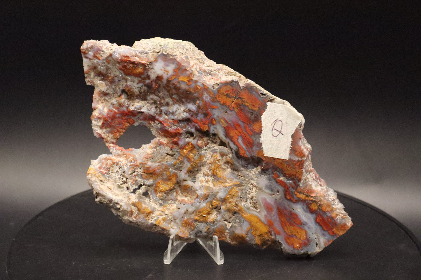 Wingate Pass Plume Agate slab (Unpolished)