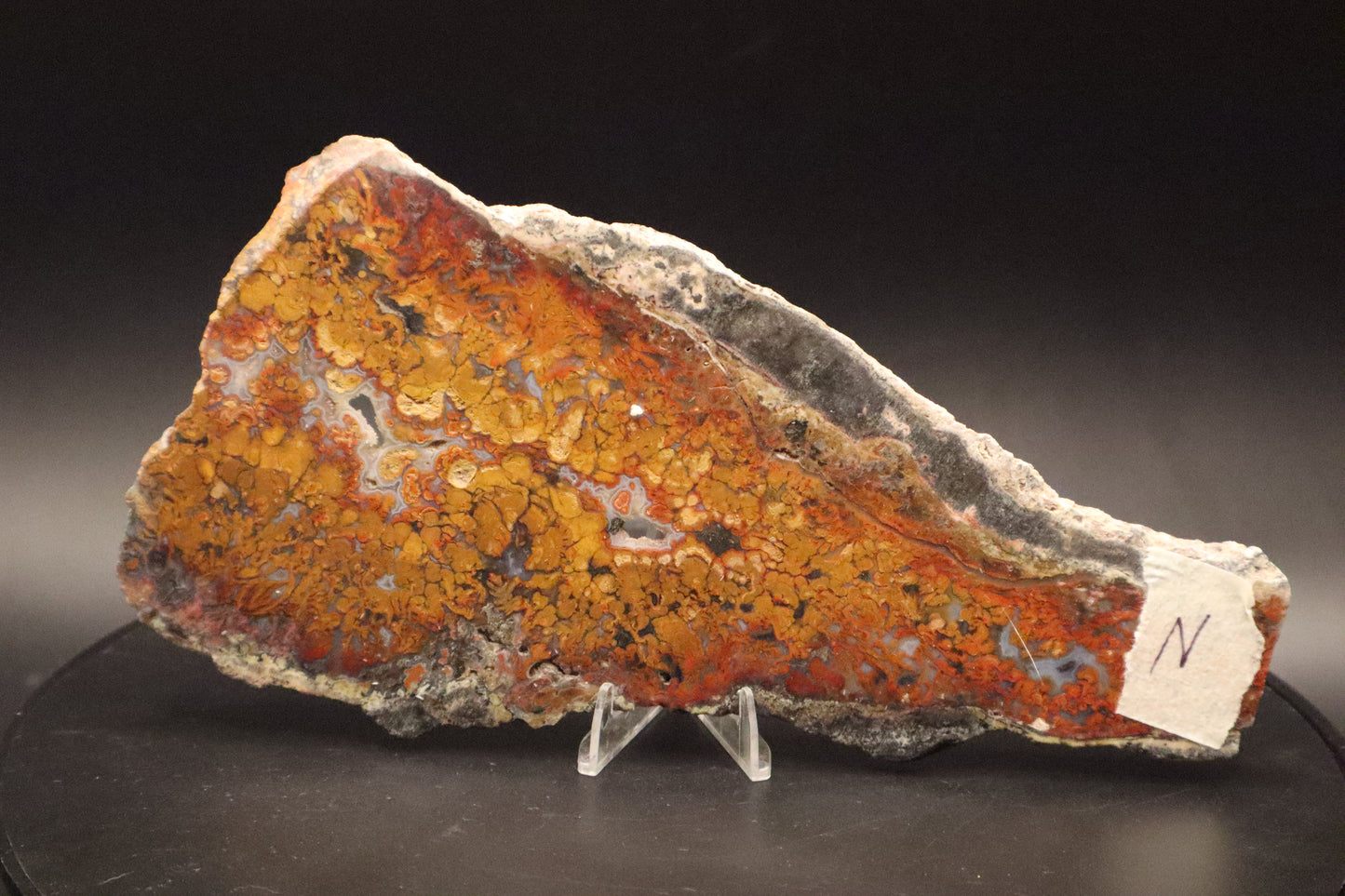 Wingate Pass Plume Agate slab (Unpolished)