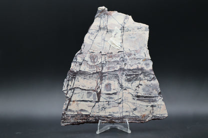 Exotica Sci-Fi Jasper slab (Unpolished)