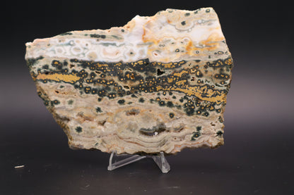 Ocean Jasper Slab (Unpolished)