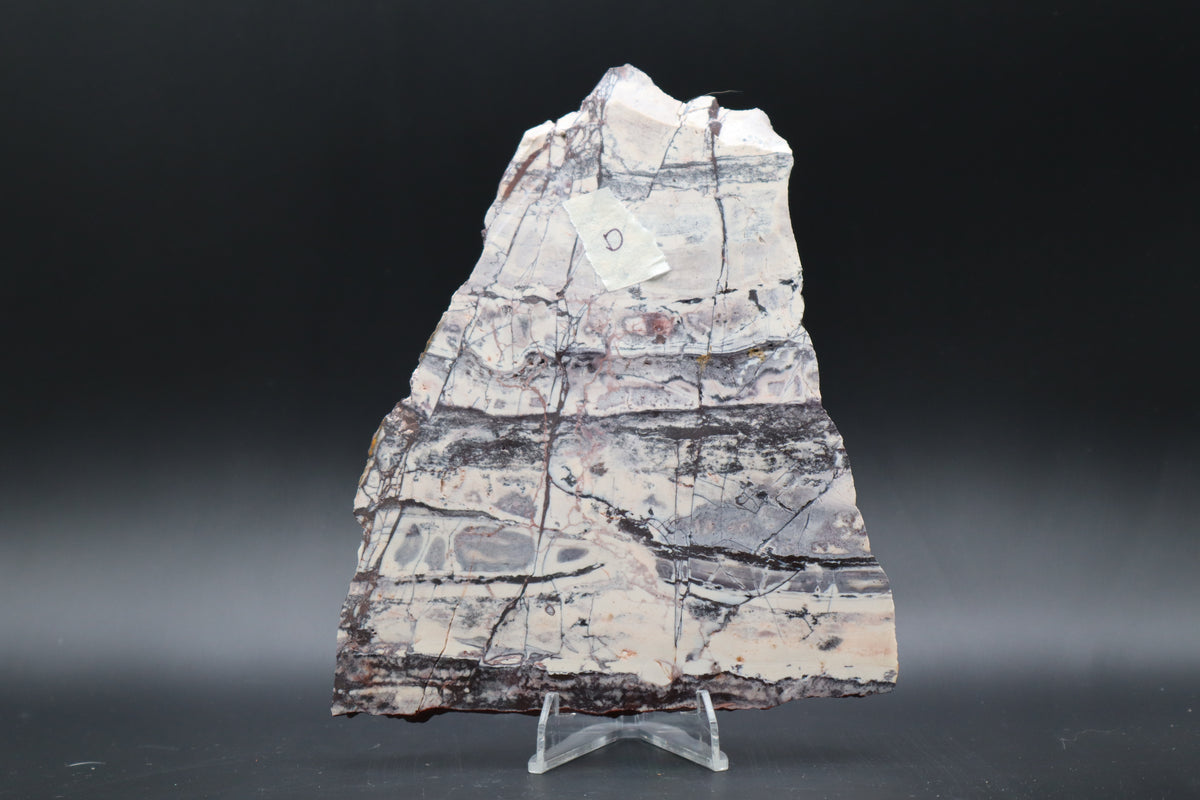 Exotica Sci-Fi Jasper slab (Unpolished)
