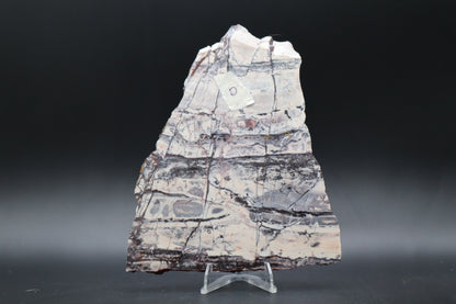 Exotica Sci-Fi Jasper slab (Unpolished)