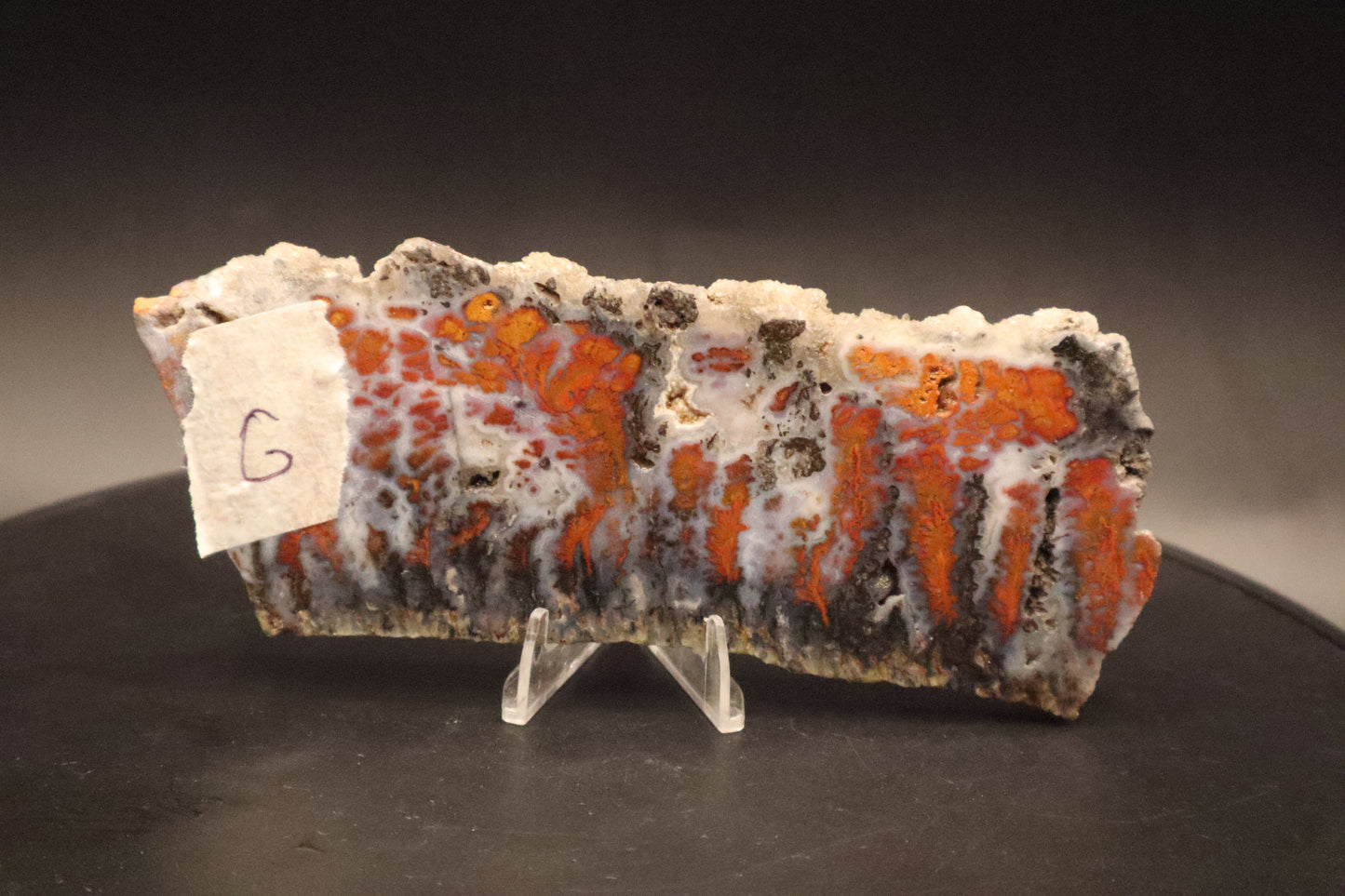Wingate Pass Plume Agate slab (Unpolished)