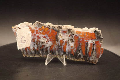 Wingate Pass Plume Agate slab (Unpolished)