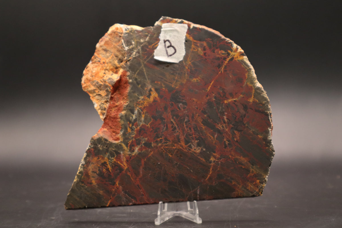 Pilbara Jasper slab (Unpolished)