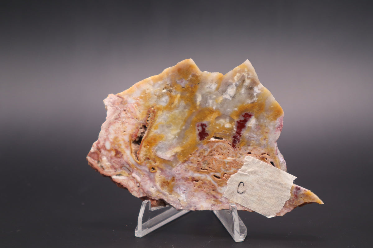Windy Mountain Snowflake Jasper slab (Unpolished)