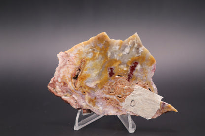Windy Mountain Snowflake Jasper slab (Unpolished)