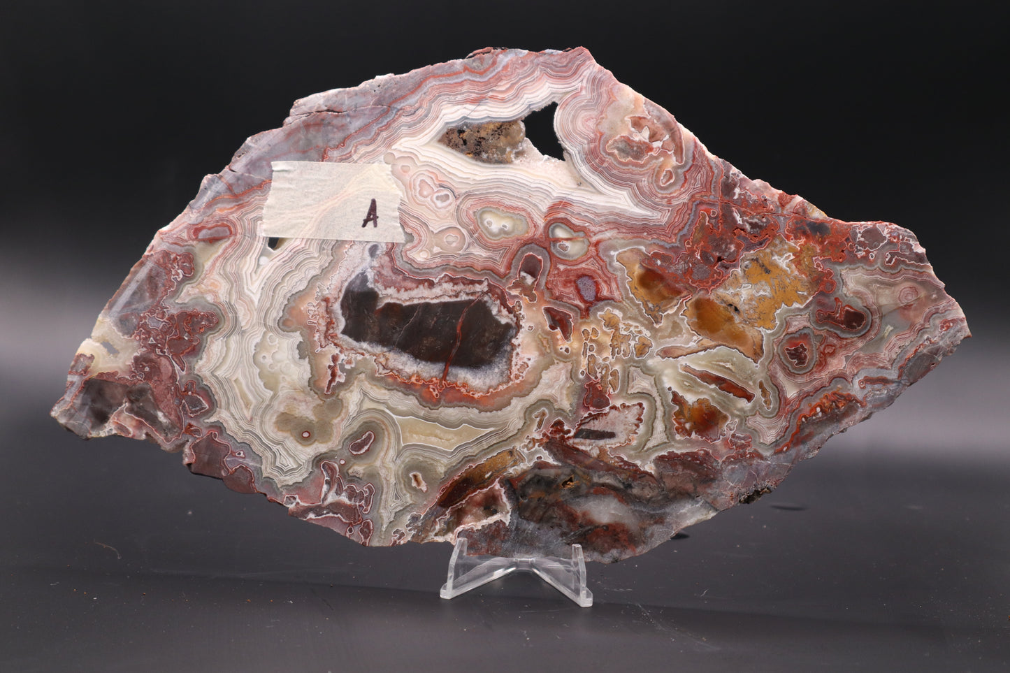 Crazy Lace Agate slab (Unpolished)