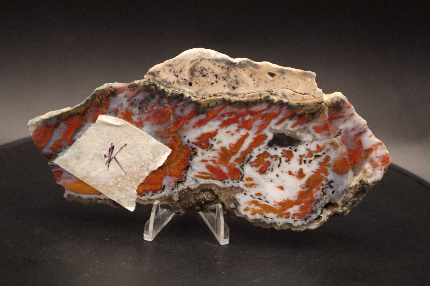 Wingate Pass Plume Agate slab (Unpolished)