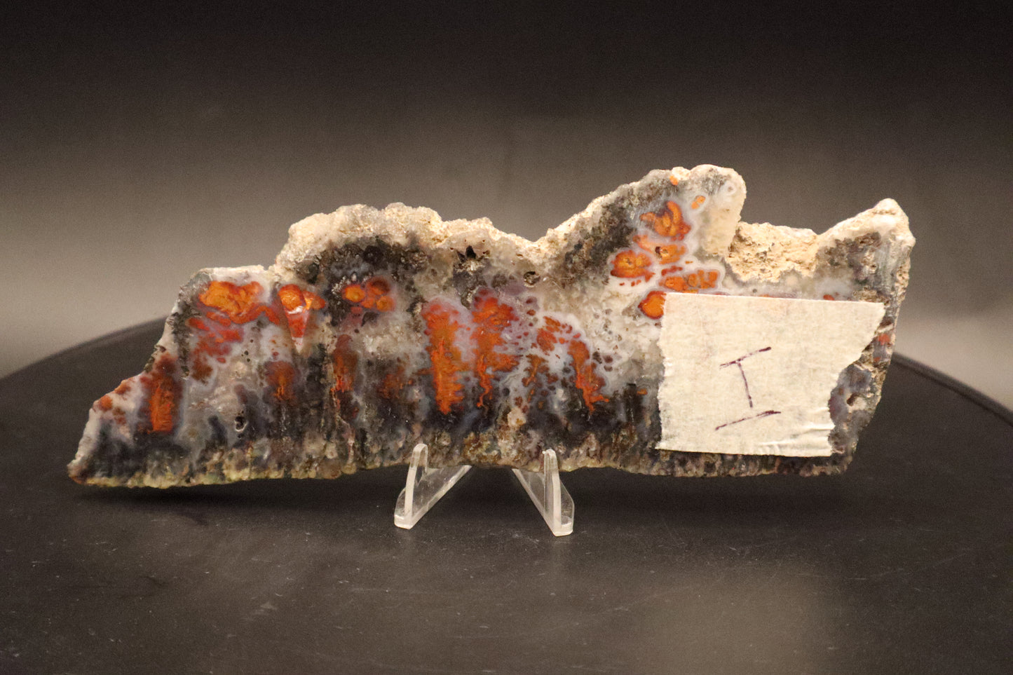 Wingate Pass Plume Agate slab (Unpolished)
